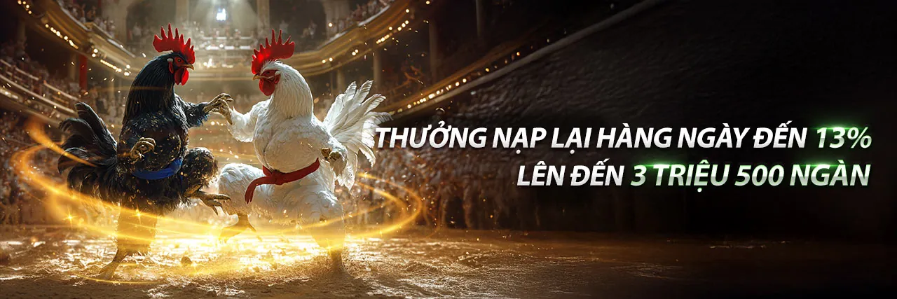ST666 Đá Gà Hỗ Trợ Khách Hàng Chuyên Nghiệp