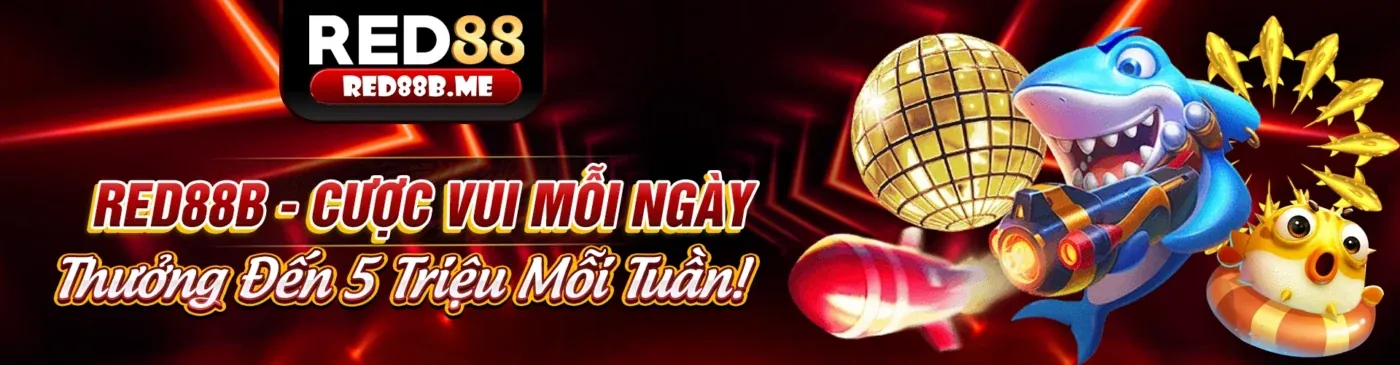 Cam kết dịch vụ hỗ trợ ST666 Đá Gà