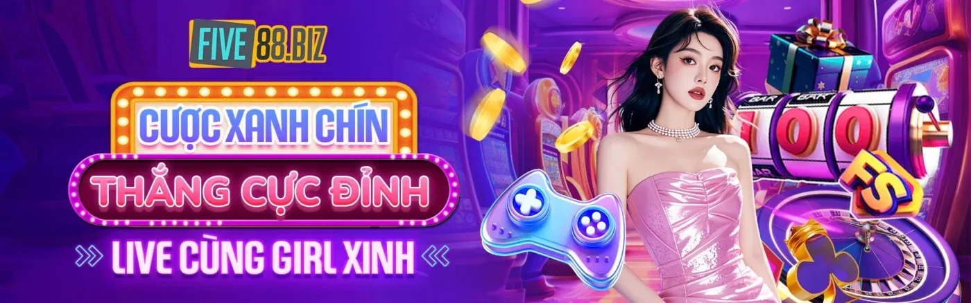 Hình ảnh tổng quan về ST666 Đá Gà
